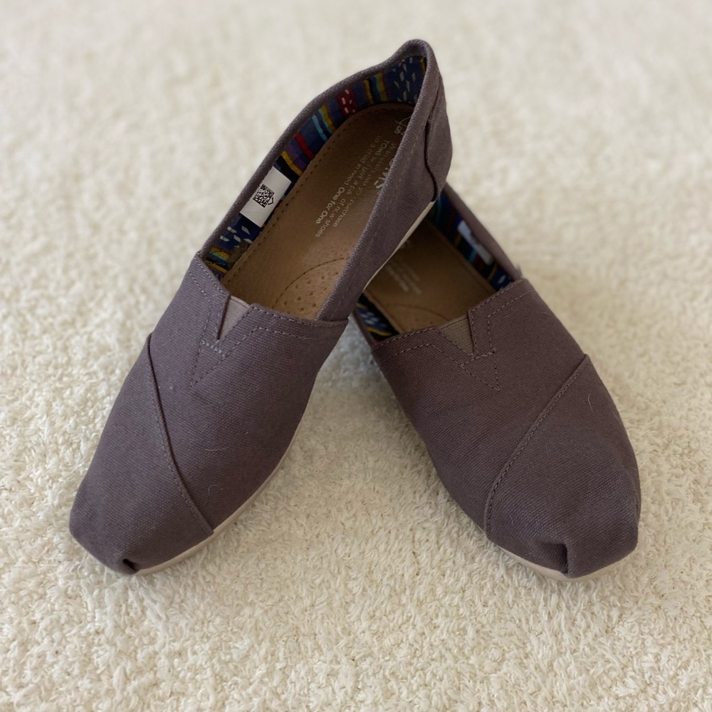 Grey Toms
